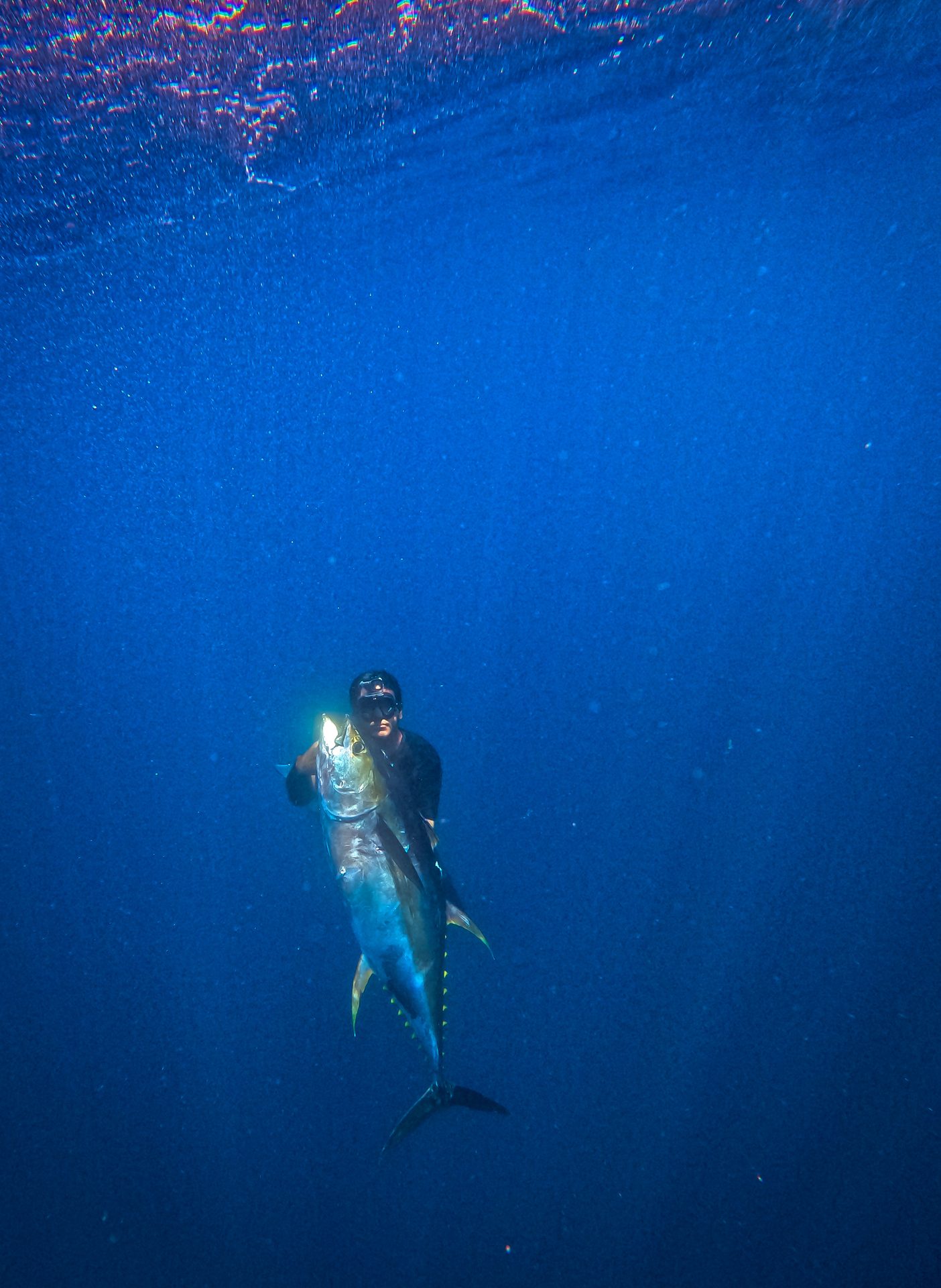 Pietro Ciotti underwater with yellowfin tuna, spearfishing Panama
