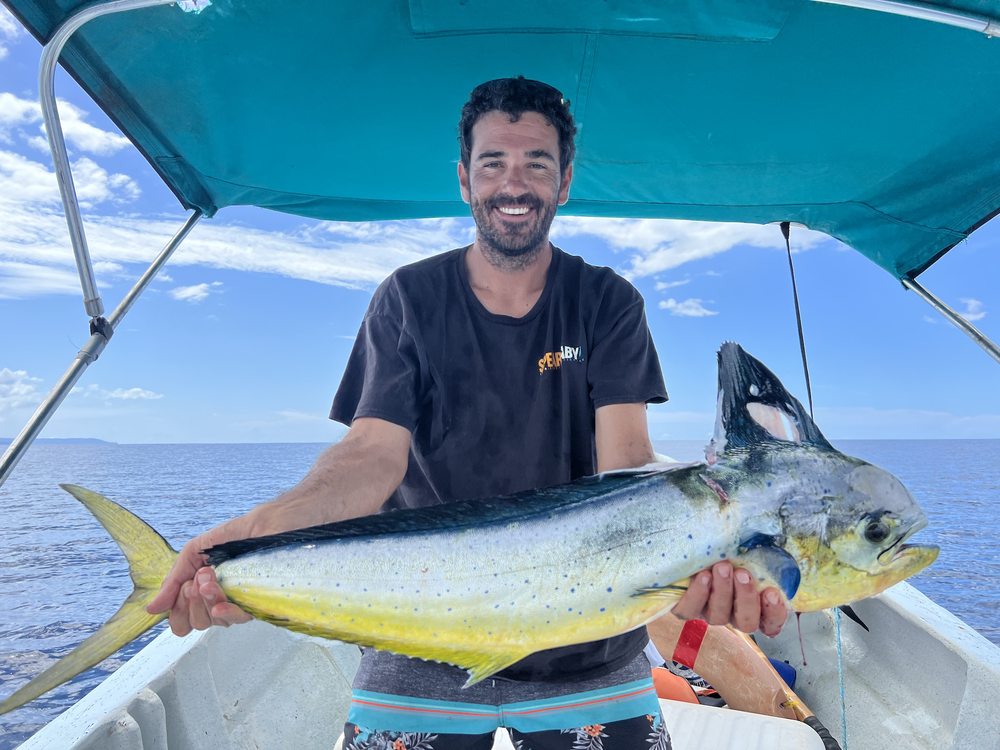 Dorado Mahi-Mahi Panama