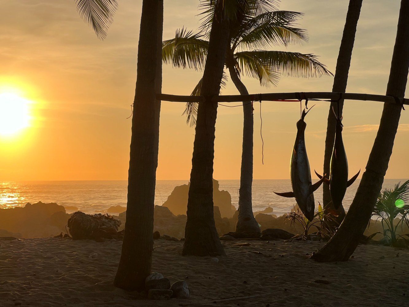 Catch at sunset island camp Panama