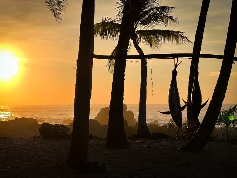 Tuna camp sunset Panama