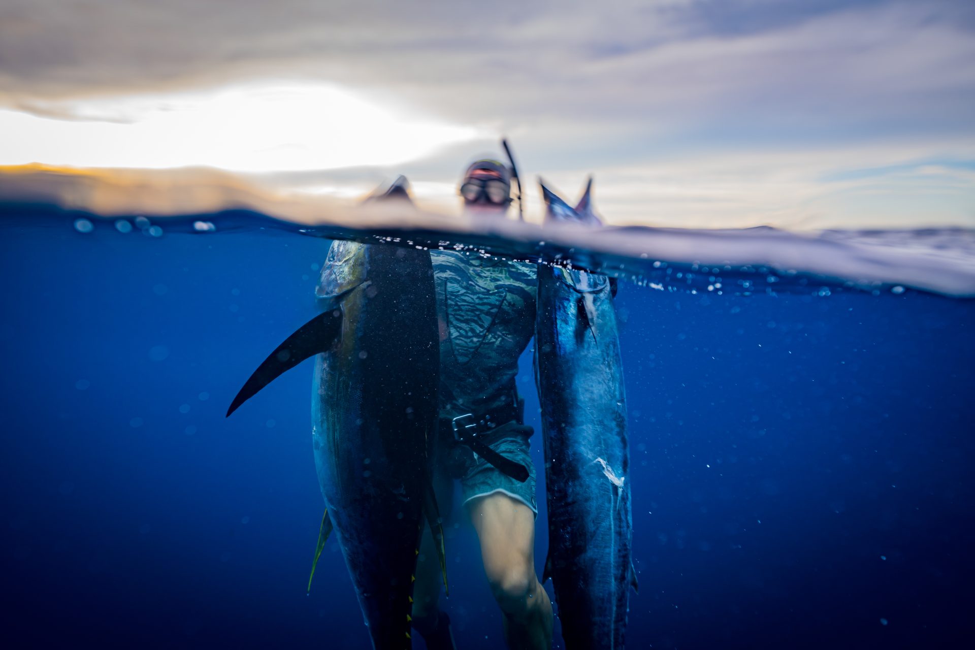 Spearfisher with yellowfin tuna, Pacific Panama